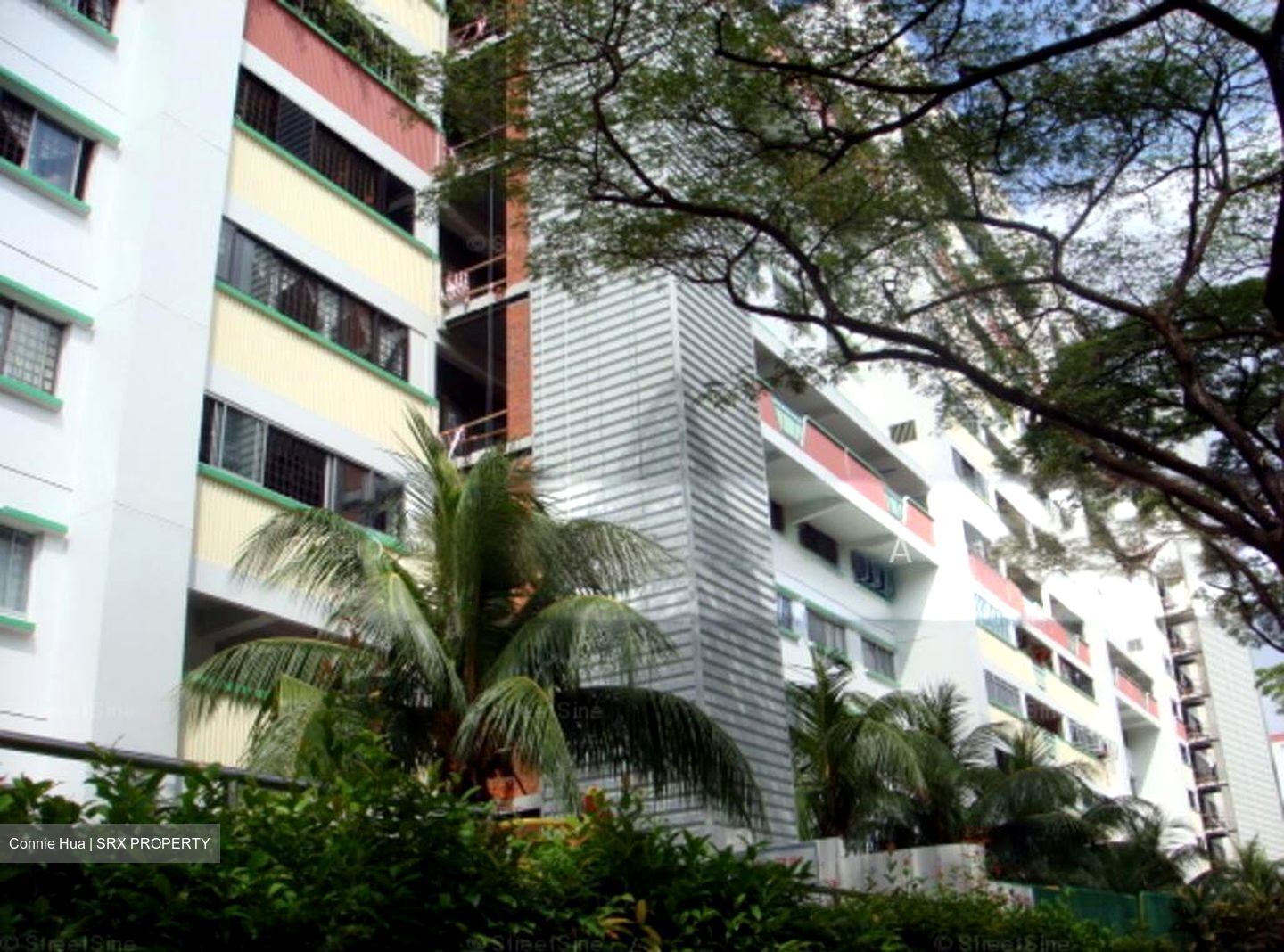 Blk 307 Woodlands Avenue 1 (Woodlands), HDB Executive #502925071